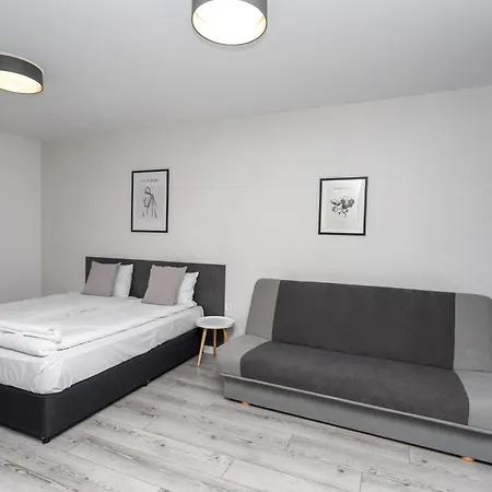 Guest Rooms&apartments Desi 3*